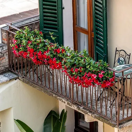 Daire Palazzo Ristori *